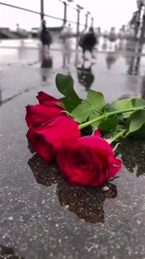 Elyess Badaoui sur TikTok