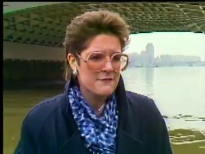 17K views · 83 reactions | #OTD 1987: The Thames Water Authority issued a warning about ferocious, man-sized turtles that could take your arm off. They were being turtle-y serious... | BBC Archive | Facebook