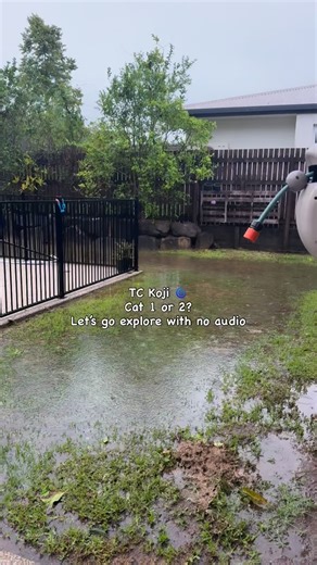 Woke up to Cyclone Koji… Well, woke up is generous. Between power outages, a flowing creek where it shouldn’t be, and kids in and out of bed — sleep wasn’t really on the menu. Considering this was “only” a category 1–2, it’s made an absolute mess of our beaches. And honestly, I still can’t believe the stupidity of some boat owners who just don’t listen to the reports. We’ve been through enough cyclones to know when they say prepare, you prepare. Some of those gusts were hectic. Home now. Monopol