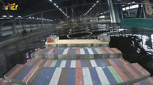 MARIN | Top Tier - Parametric roll in following seas