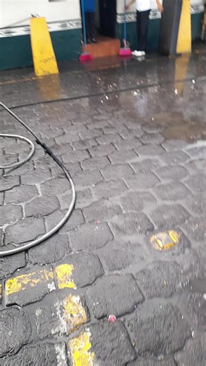 Viginia Pio (@viginiapio)’s videos with Lapiz Labial - Los Felinos