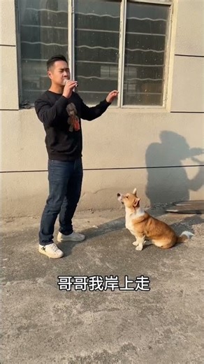 #One person, one dog, two goofballs, constantly discovering new skills every day.