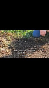 3.2K views · 61 reactions | Double your carrot crop by planting fall carrots | Garden Idea | Facebook