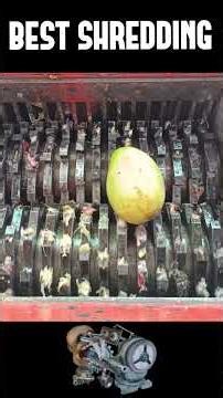 SHREDDING! AMAZING VIDEO!