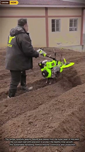 Powerful Mini Tiller Soil Preparation Process