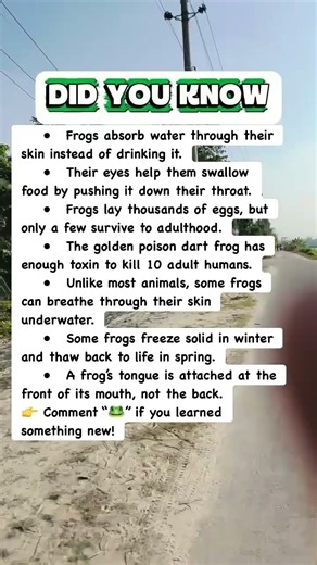 Crazy Frog Abilities You Won’t Believe Are Real!