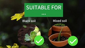 HSLGOVE 4-in-1 Soil Test Kit – Soil Moisture Meter, pH, Fertility & Sun-Light, No Battery Required, Large Dial Soil Tester for Indoor & Outdoor Gardening, Lawn, Farm –Mint Green