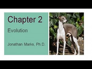 Explorations Chapter 2 Evolution