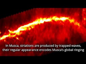 The Musca molecular cloud: An interstellar symphony