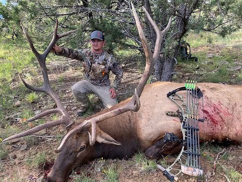 SUCCESS!! Archery Bull Elk hunt in Arizona fall 2022