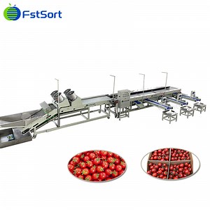 [Hot Item] Fstsort Cherry Tomato Grader Lychee Sorter Date Sorting Machine Fruit Processing Machine Cherry Tomato Sizing Equipment Cherry Tomato Sizer