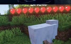 VR模组 物理模组 万向跑步机玩MC