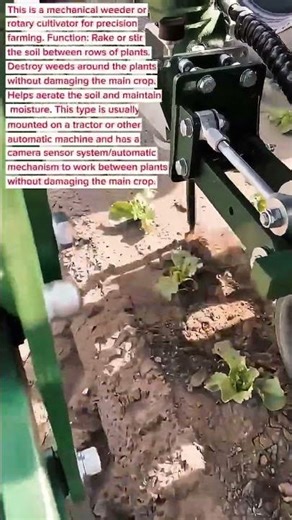 Automatic Inter-Row Weeder – Smart Farming Tool for Precision Weed Control