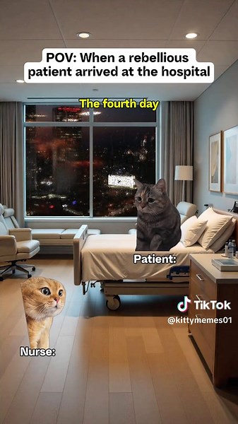 Rebellious Patient with Cats: A Doctor's POV
