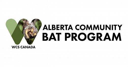 Bats in Buildings - Alberta Community Bat Program