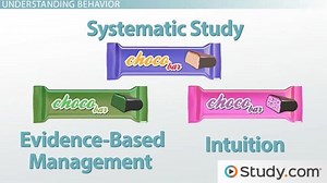 Understanding Behavior: Systematic Study, Evidence-based Management & Intuition - Video | Study.com