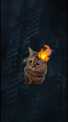 Meow meow at his best