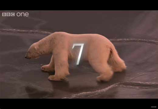 The Impact of AI on Polar Bears and Climate Change