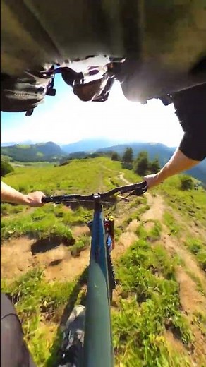 GRASS & STAIRS IN SWITZERLAND