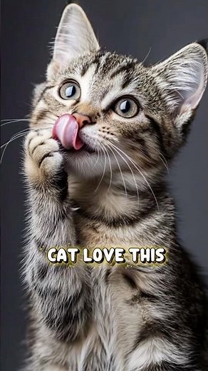 Creamy Cat Treat for Picky Cats | Chicken, Taurine and Salmon Oil