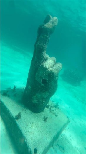 Snorkeling in Paradise 🌊🐠 | Cancun to Isla Mujeres Adventure