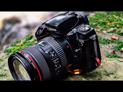 Canon EOS 5 - an easy way into film photography