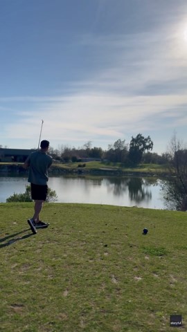 Golfer Hits a Birdie...Literally