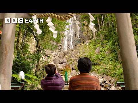 The Sacred Ritual Hidden in Japan's Forests | Japan with Sue Perkins | The Travel Edit