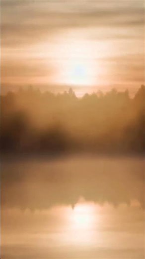 #7 🎹 ショパン ピアノ協奏曲 第1番 | クラシック名曲・オーケストラの傑作