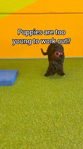 6.2K views · 66 reactions | Learning how to use your body is like...