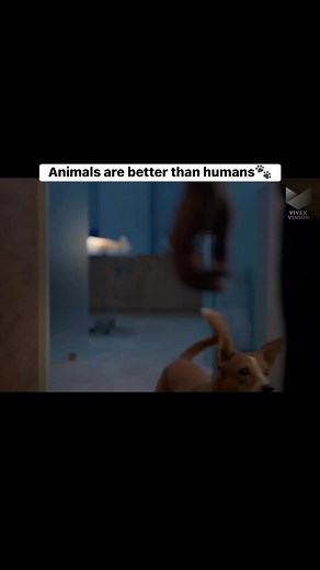 Animals are better than humans 🐾💕 | Simran STRAY Foundation