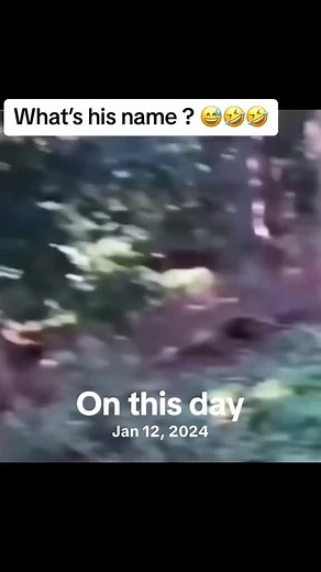 On This Day: Significant Historical Events of January 12