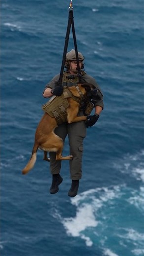 Military K9 Hoisted Into a UH-60 Black Hawk Over the Ocean 🇺🇸🐕🚁