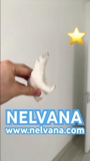 Nelvana Logo Polar Bear 🐻‍❄️ in Reversed 🐻‍❄️🔄🌠⭐️