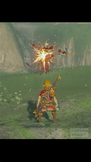 Summon the Cucco army to fight the enemy. The legend of Zelda: Breath of the Wild