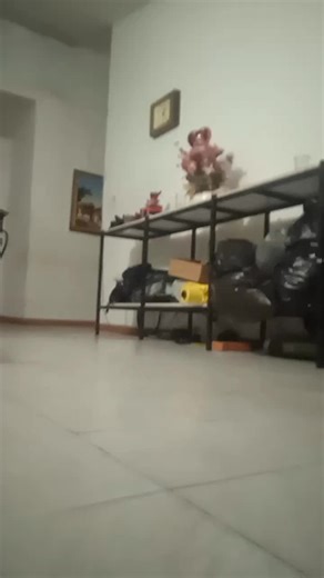 Videos de eblis (@eblis3327) con “sonido original - 🎧🎶Dimeloconmusica-2🎶🎧”