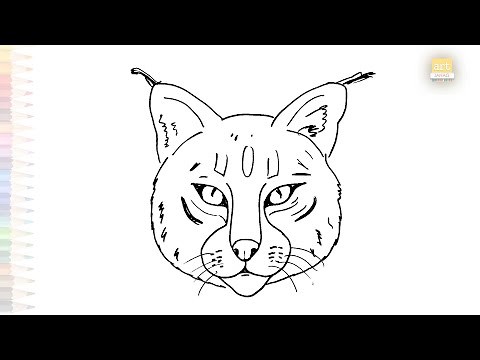 Bobcat head easy sketch | Outline sketches | How to draw Bobcat face step by step simply #artjanag