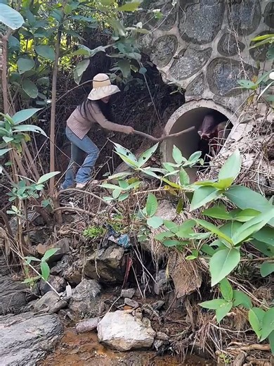 Explore Creative Content Creation in the USA