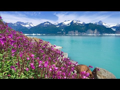 Viking: Alaska & the Inside Passage