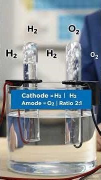 Electrolysis of Water | Class 10 Science Experiment Explained in 1 Minute | Hydrogen and Oxygen from