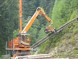 Seilkran - Tower Yarder- Syncrofalke 3t mit Sherpa U 3t und Woody 60 (1)
