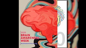 Close to 2,500 people have already voted for their favorite Brain Awareness Week sticker design—now make your voice heard! on.dana.org/sticker-vote Voting ends December 4. | Dana Foundation