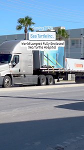 🏥 Update! The world's largest fully enclosed Sea Turtle Hospital is being built on South Padre Island! Set to open 2024, is going to be incredible for sea turtles and our community both near and far. | Sea Turtle, Inc