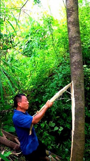 🔥This man is making paper from tree bark #shorts #viral #trending