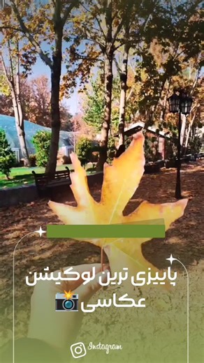 ‎مجموعه گل و گیاه باغ ارغوان‎ on Instagram‎: "«اگه دلت یه لوکیشن پاییزیِ خوشگل می‌خواد؛ همین‌جاست… بازار همدانیان 🍂✨» «بین برگ‌های نارنجی و بوی گل، پاییز تو همدانیان قشنگ‌تر می‌گذره… 🍁🌸» ـــــــــــــــــــــــــــــــــــــــــــــــــــــــ 🔸 سفارشات بصورت انلاین پذیرفته میشود 🔸برای همکاران عزیز و مصرف کنندگان محترم @bazargol_hamedanian.esf @bazargol_hamedanian.esf #بازارگل_همدانیان_اصفهان #گیاهان_آپارتمانی🌱 #گل_و_گیاه #گیاه_ترند ##دکورباگیاهان #گیاه_ترند #"‎