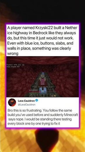 A player built a Nether ice highway but...