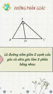 Phân biệt đường trung tuyến, đường trung trực, đường cao, đường phân giác trong tam giác