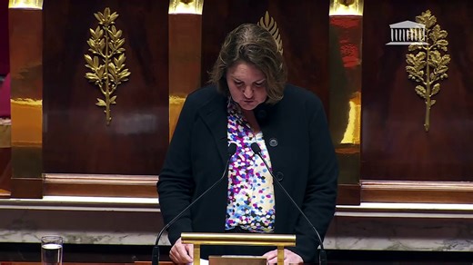 2ème séance : Soutien au destin européen de la Géorgie (suite) ; Protection juridique des majeurs - 