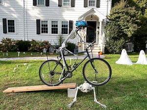 Why are skeletons so funny? - The Boston Globe