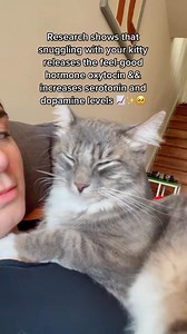 34K views · 1.5K reactions | The hard day’s work of an emotional support cat #purring #asmr #catsoftiktok | Andrea & Paquito | Facebook